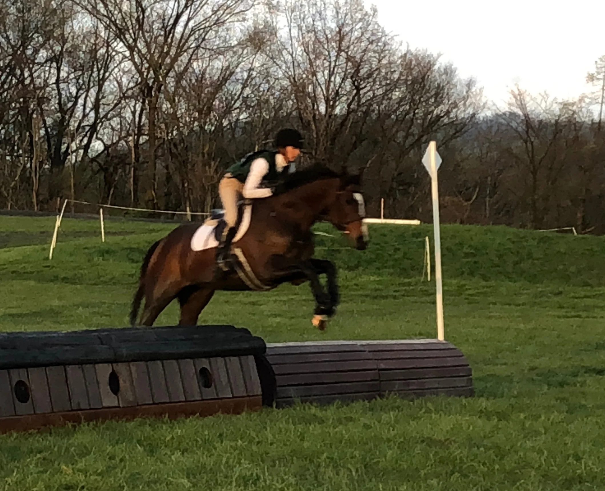 Breezy Girl MDTW xc jump 1.jpg
