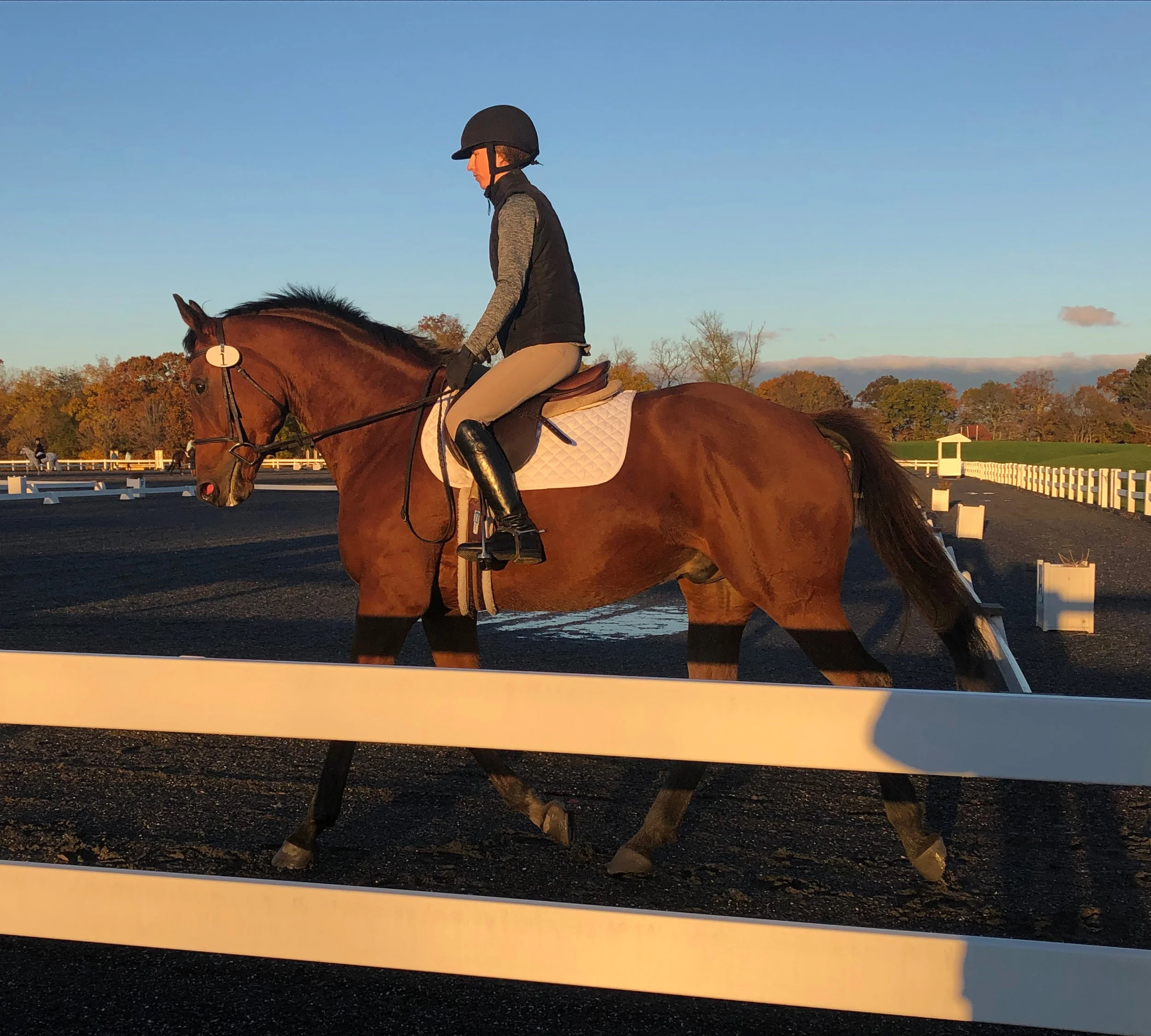 Huggies MDST3 trot 1.jpg
