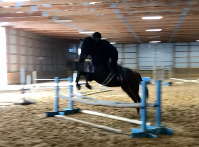 Joe Joe jump 1.jpg