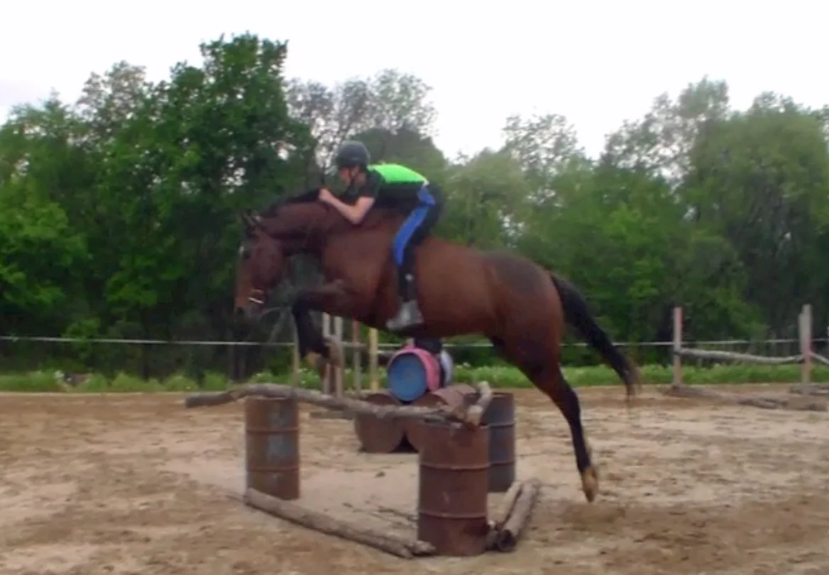 Raja jump home 7.jpg