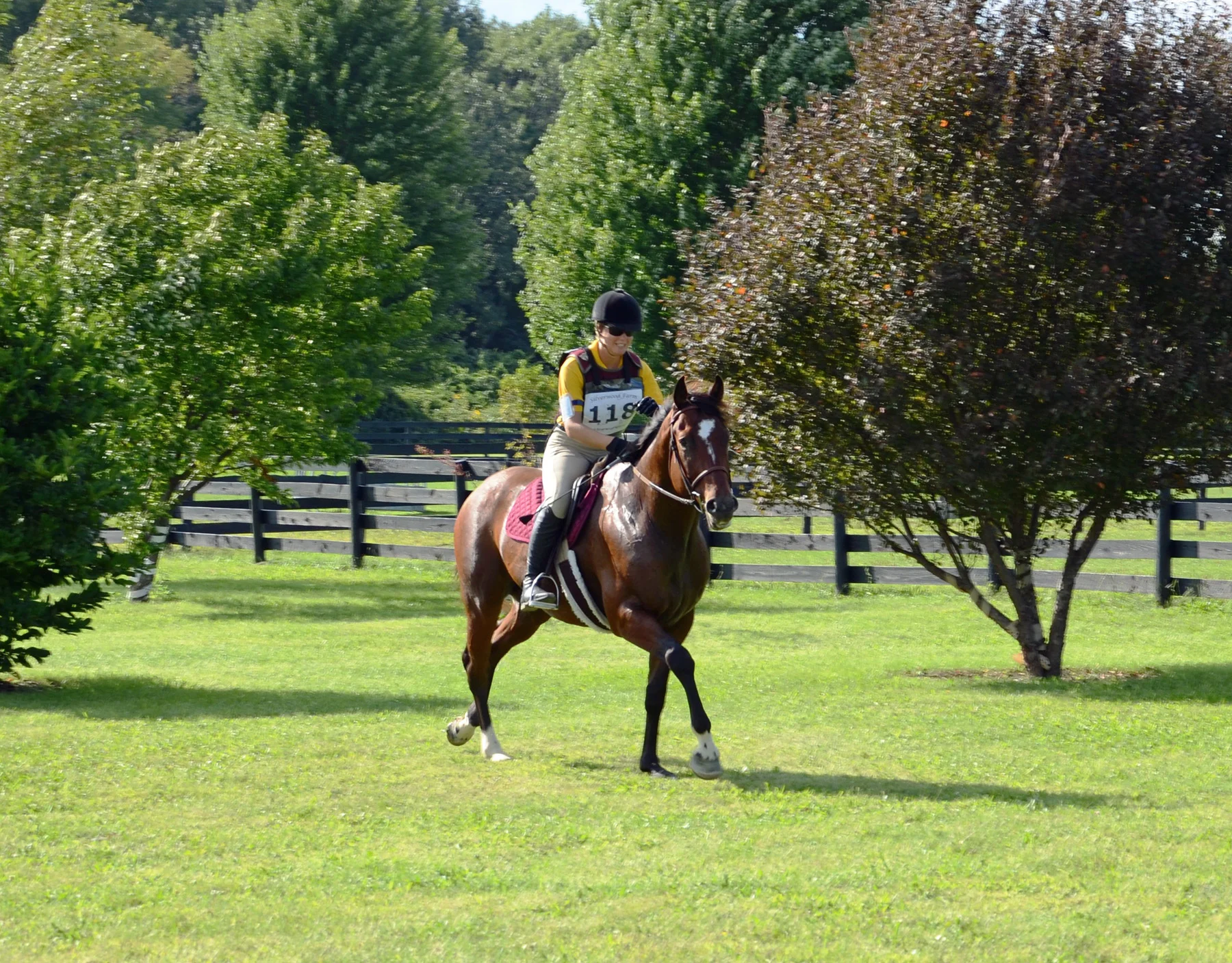 Raja SWFHT gallop 1 small.jpg
