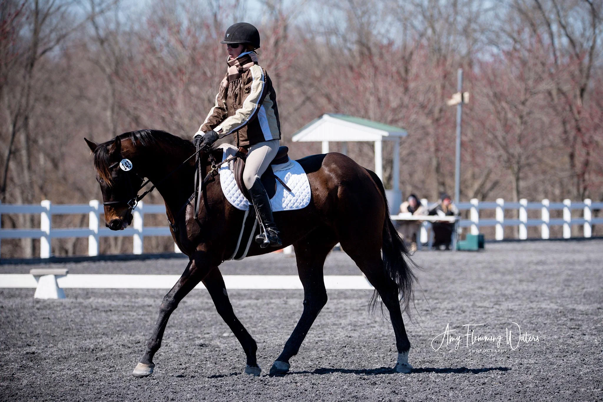 Sally MDST#1 trot 1.jpg