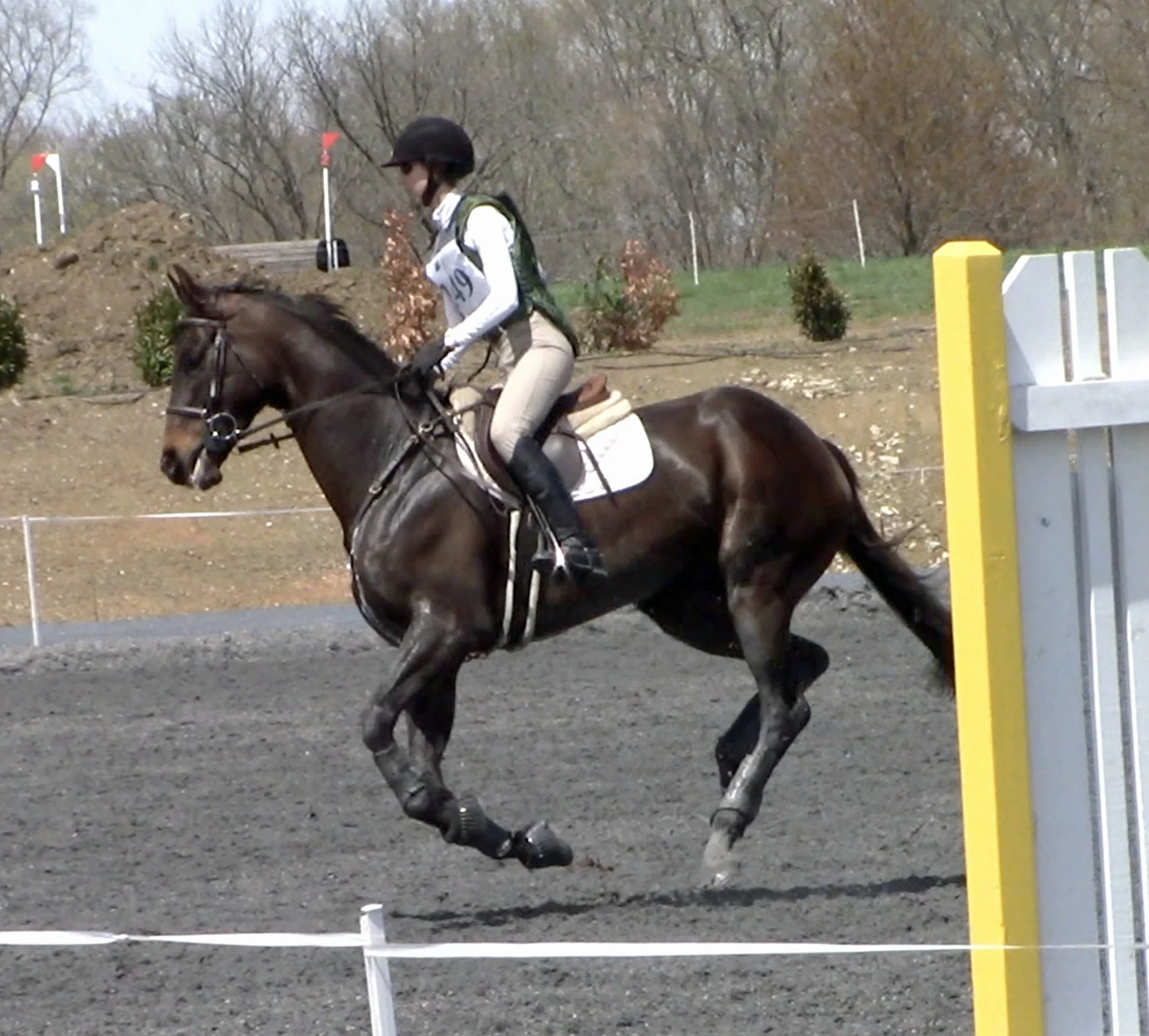 Sally MDST#2 canter 2.jpg