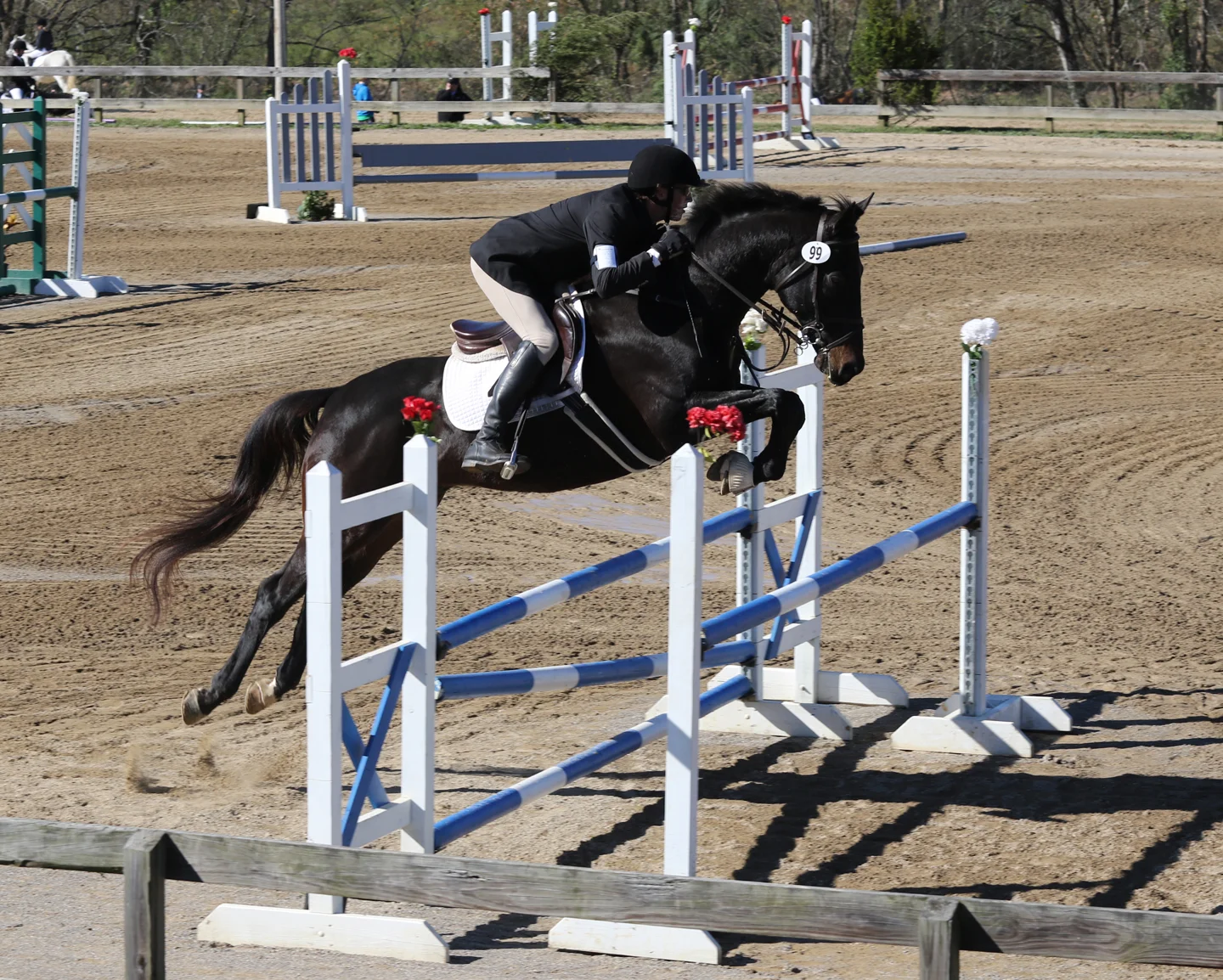 Ender RGHT jump 14 med.jpg