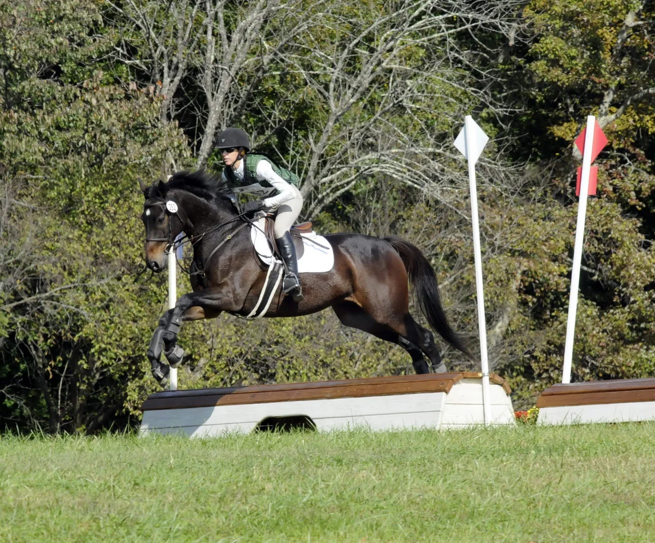 Duke MDST1 xc jump 1.jpg