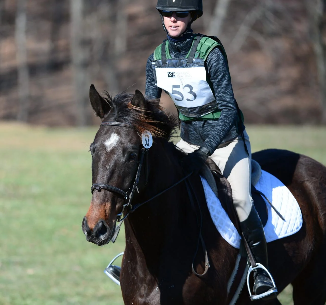Marvin MDST#1 gallop 1.jpg