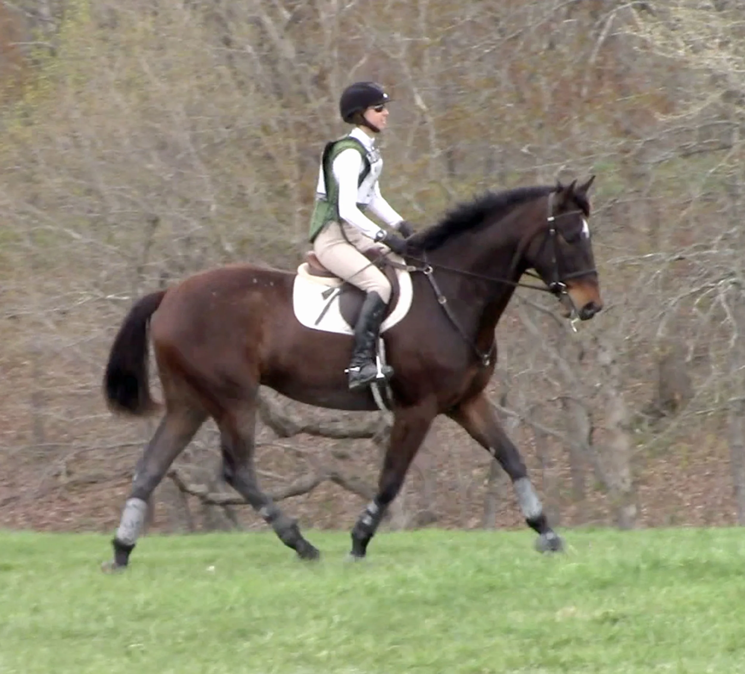 Marvin MDST#2 trot 2.jpg