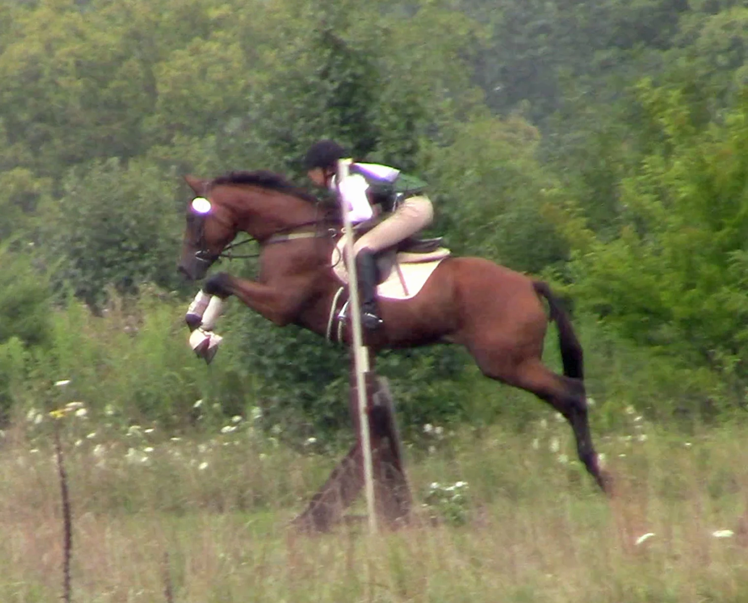 Pampers HCFHT xc jump 2.jpg