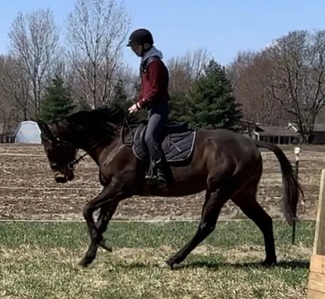 Cerberus canter 1.jpeg