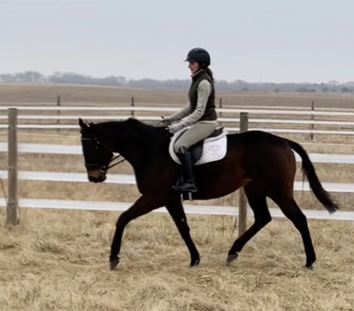 Cerberus trot 1.jpeg