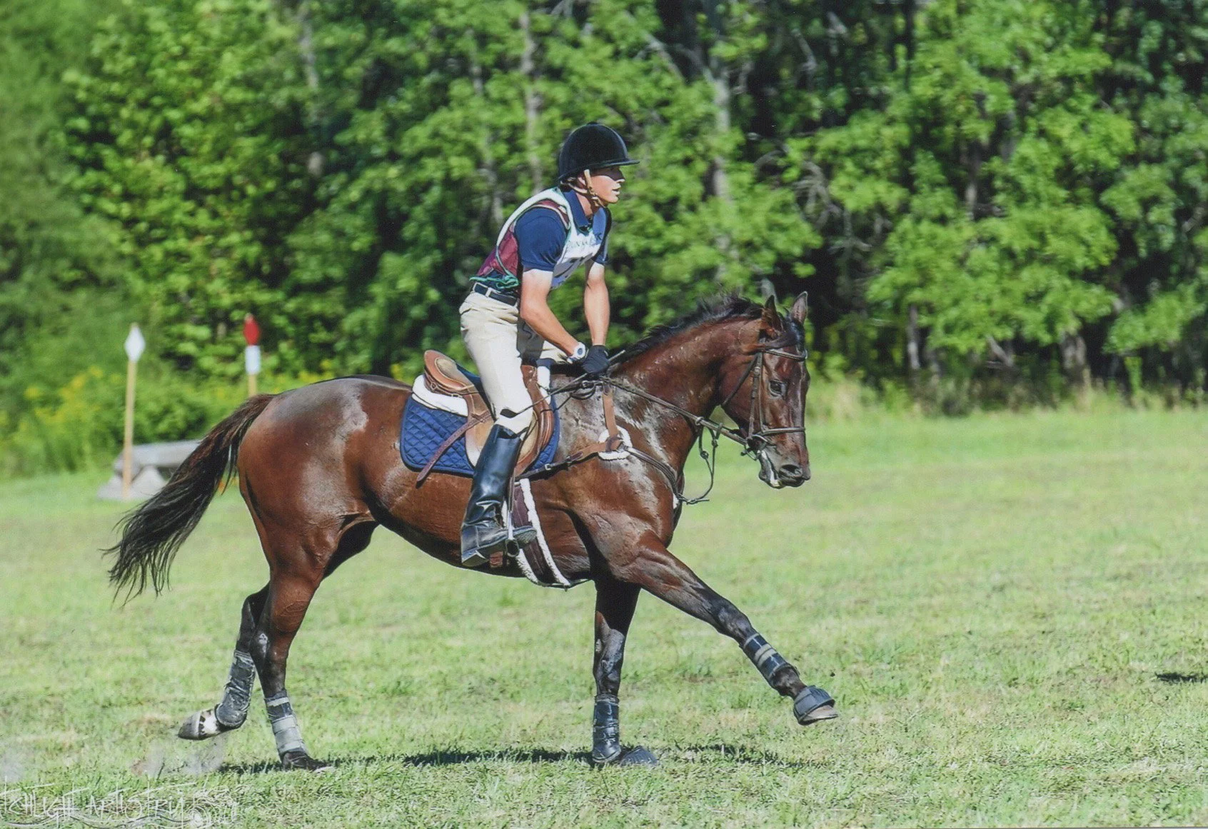 Russia DBHT x-c gallop prof. 2.jpg