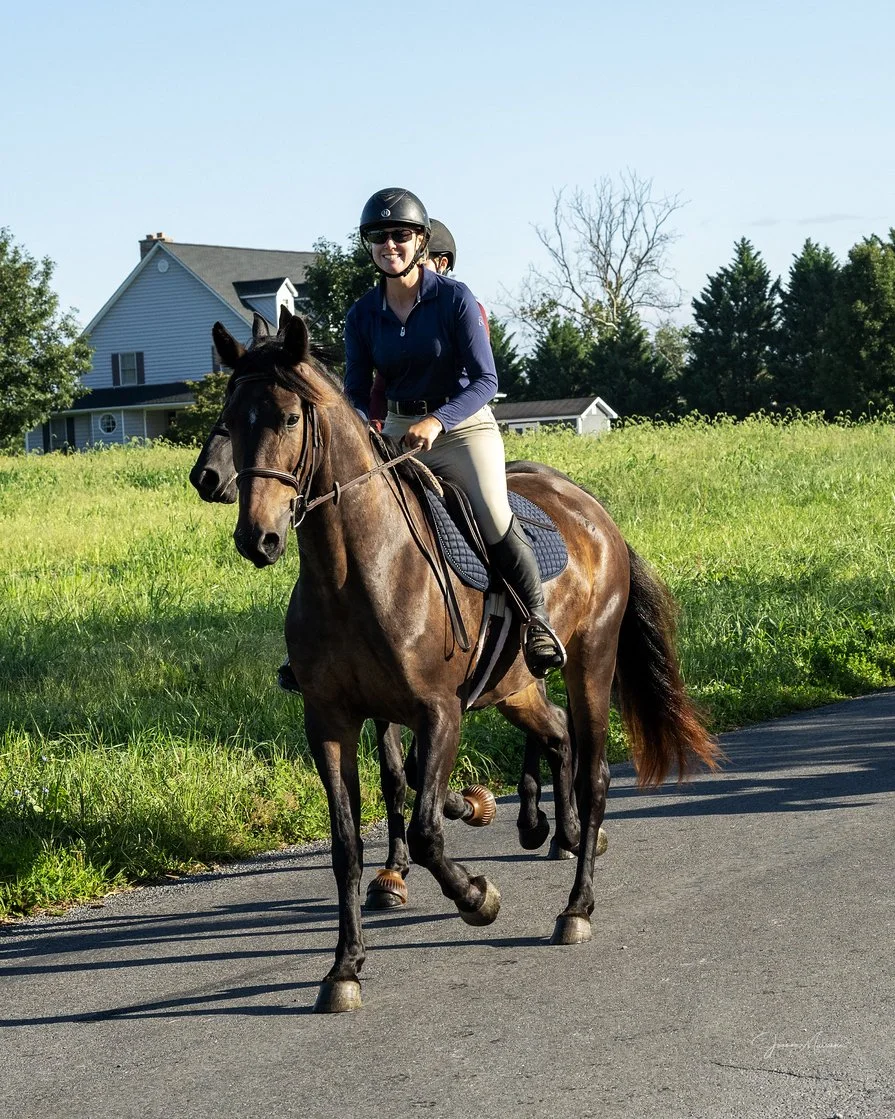 Zolin hunt trot 3.jpg