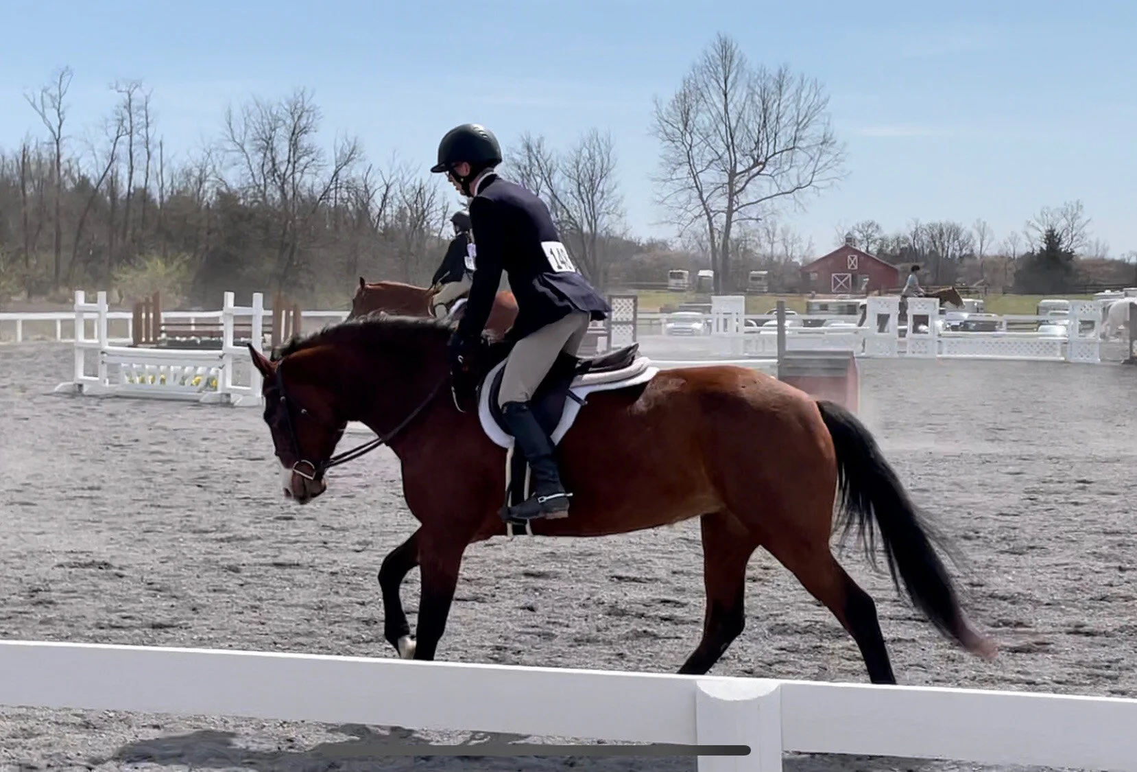 Ellie LMOS canter 1.jpg