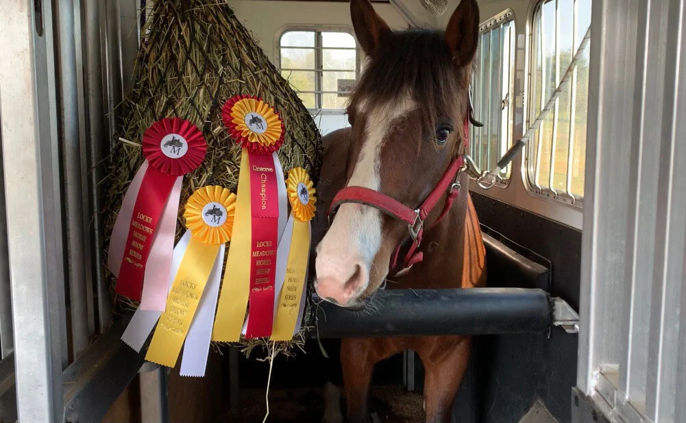 Ellie LMOS ribbon.jpg