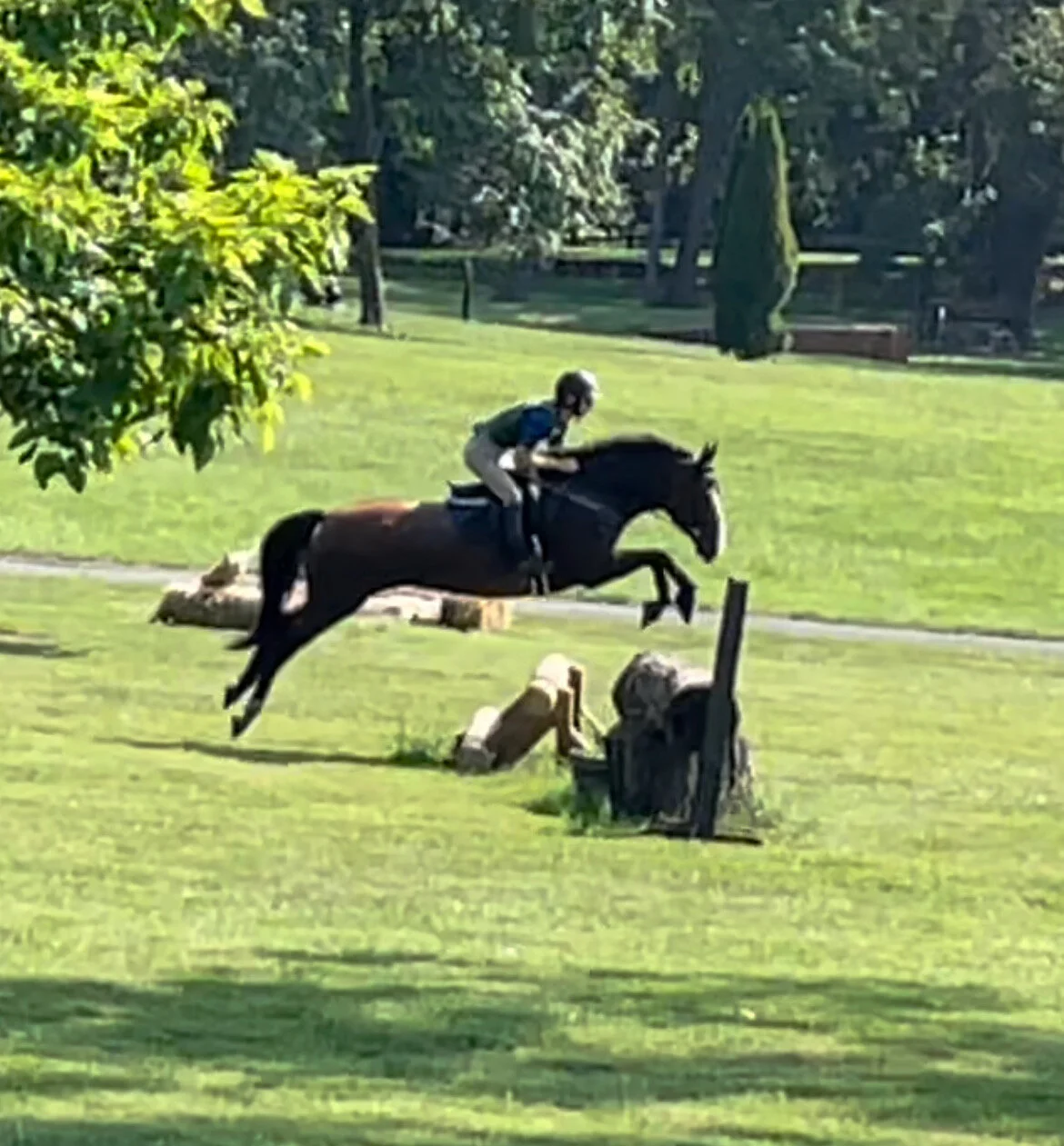 Ellie xc jump 1.jpg