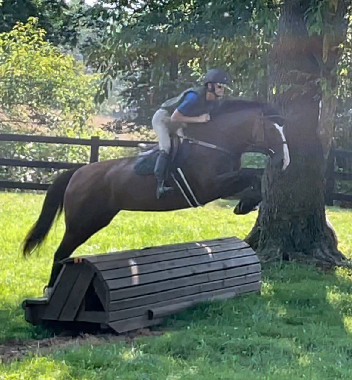 Ellie xc jump 2.jpg