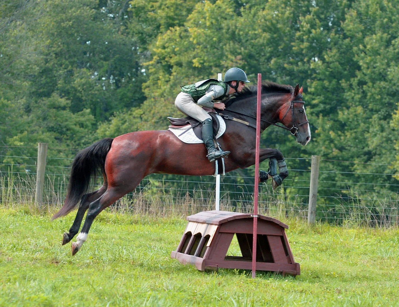 Ellie WDST xc jump 1.jpg