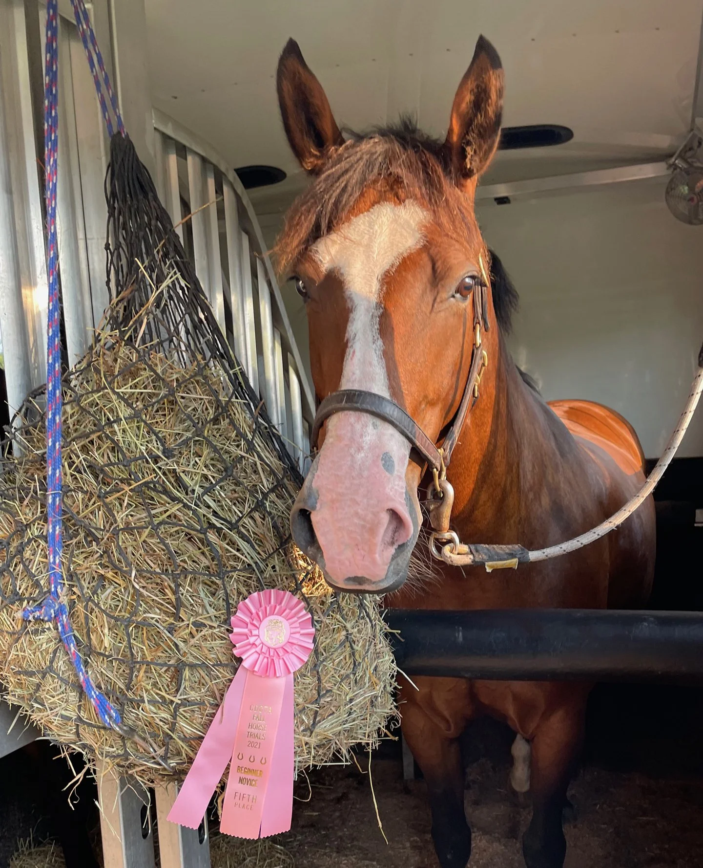 Ellie CDCTA ribbon.jpg