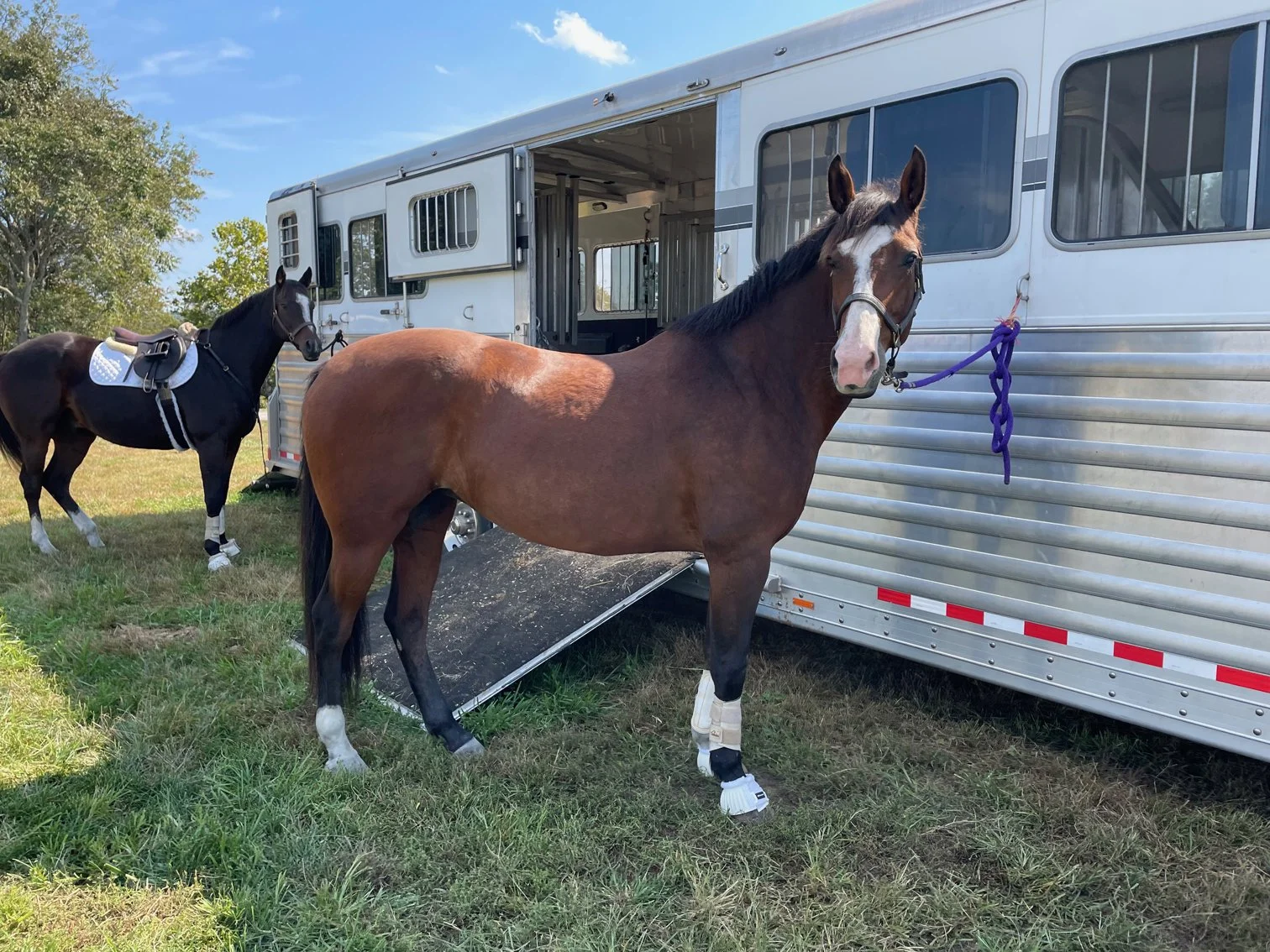 Ellie MDHT trailer tie 1.jpg