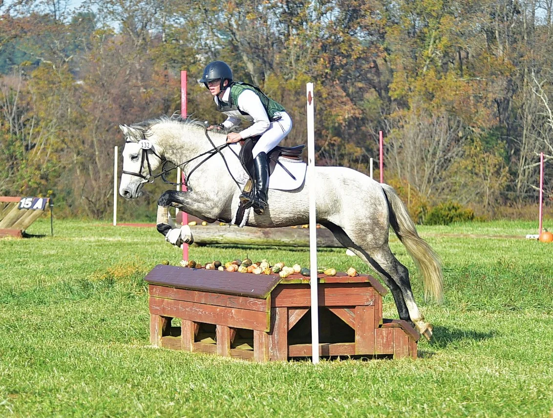 Matteo FMFHT prof xc jump 1.JPG