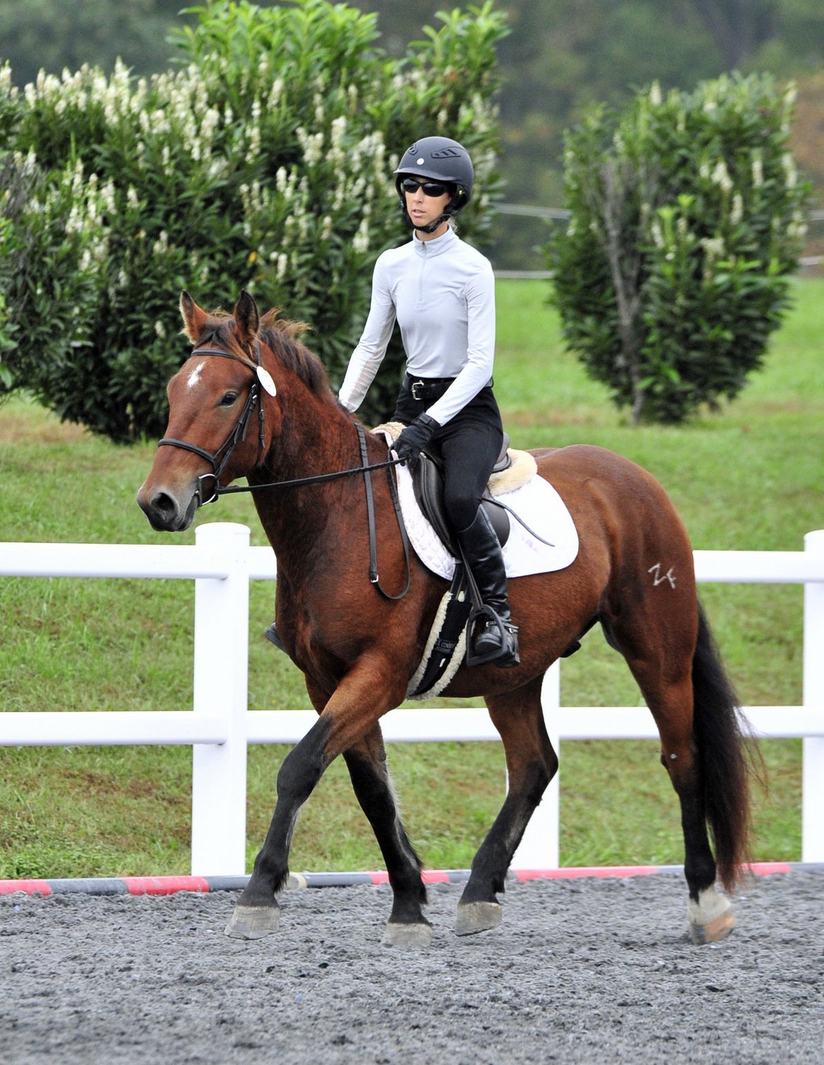 Leelo MDST prof trot 1.JPG