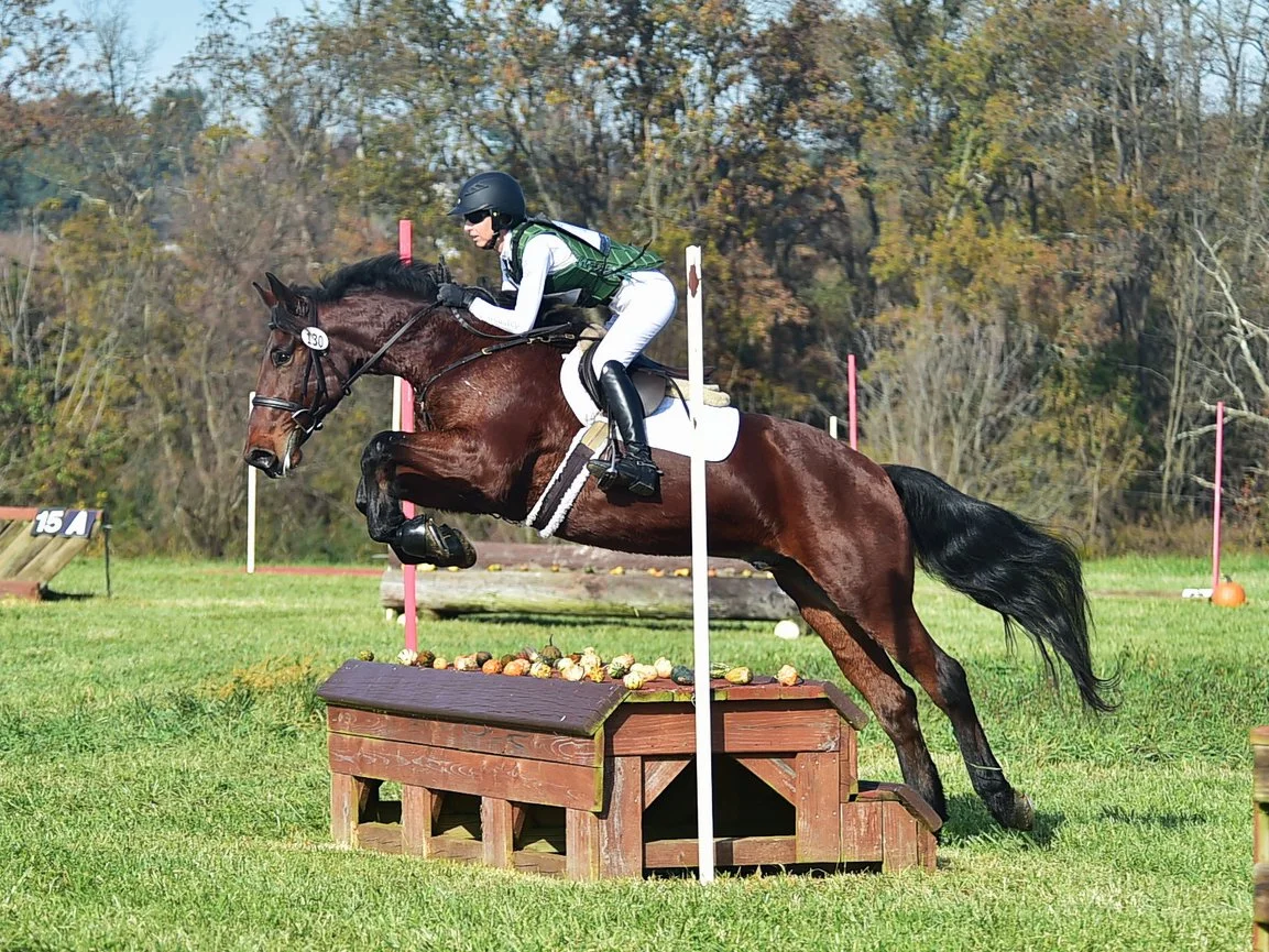 Elric FMFHT prof xc jump 1.JPG