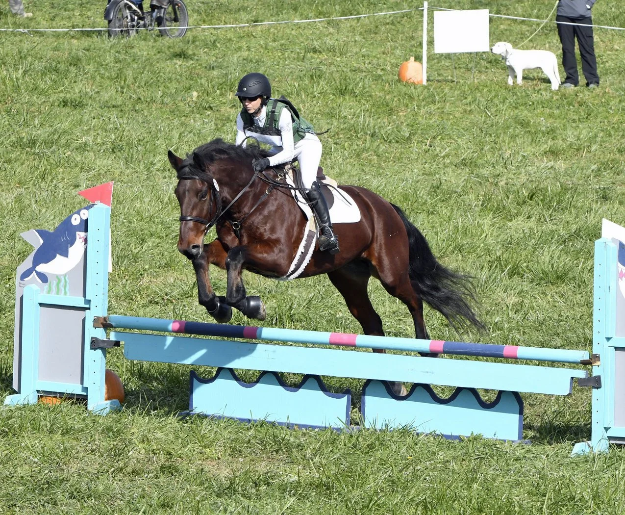 Elric FMFHT prof jump 1.JPG