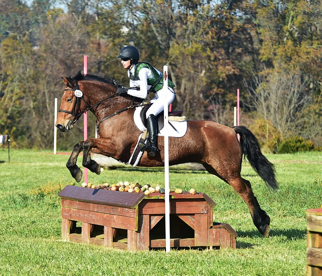 Jocko FMFHT prof xc jump 1.JPG
