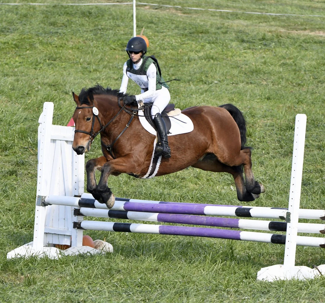 Jocko FMFHT prof jump 1.JPG