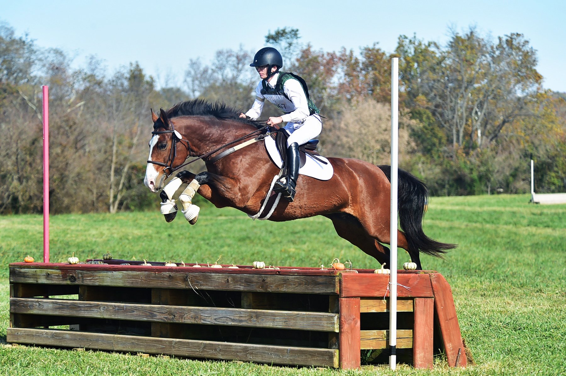 Ellie FMFHT prof xc jump 1.JPG