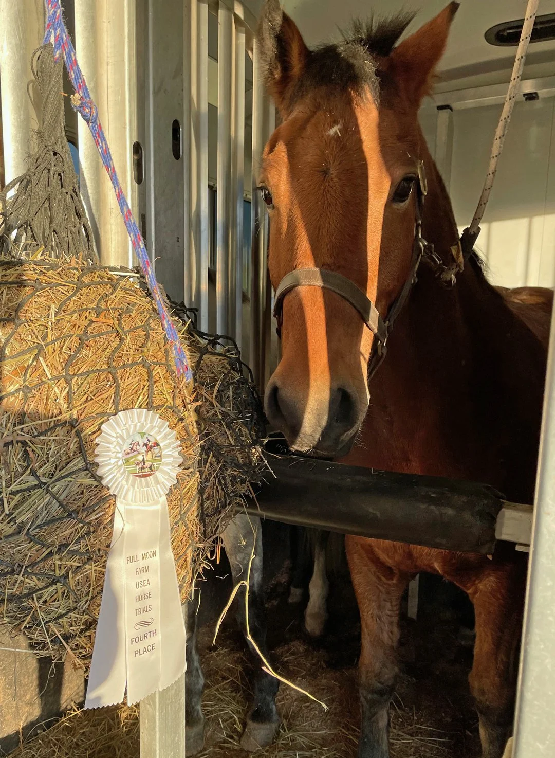 Jocko FMFHT ribbon 1.jpg