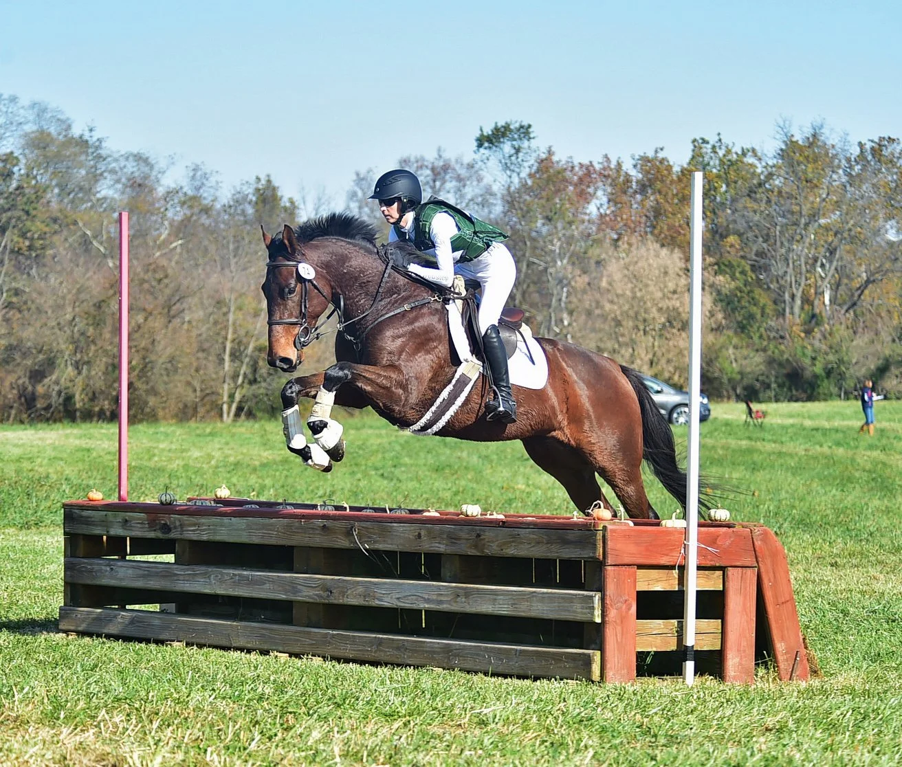 Sidney FMFHT prof xc jump 1.JPG