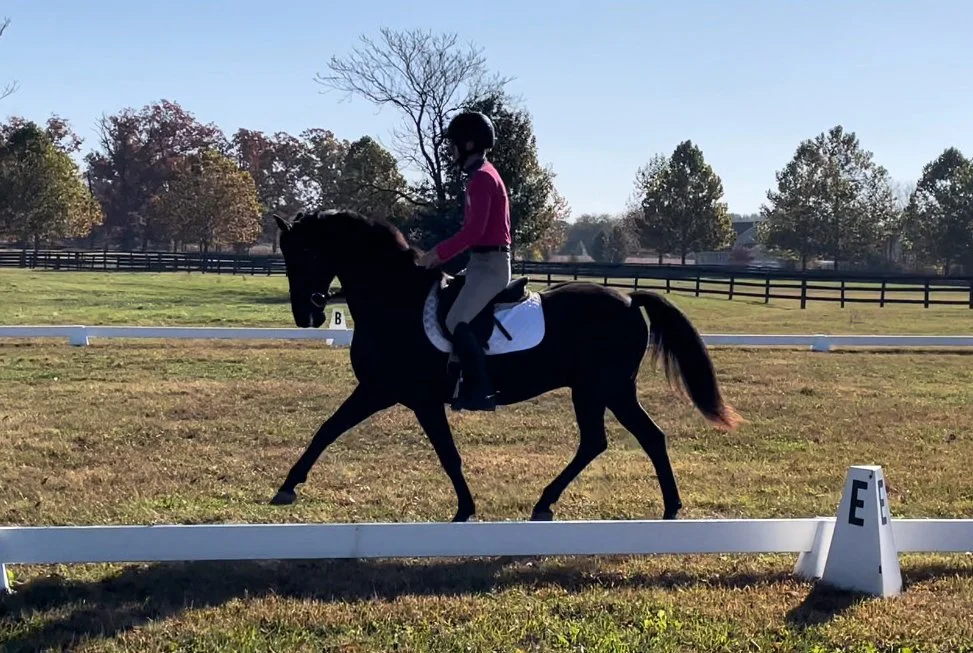 Gustavo HCFST trot 10-22-1.jpg