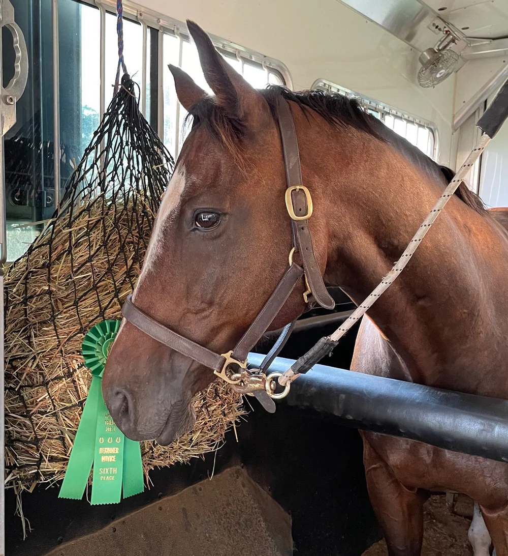 Thawed Out (SOLD) — T.H.A.N.K.S. -A- LOT FARM