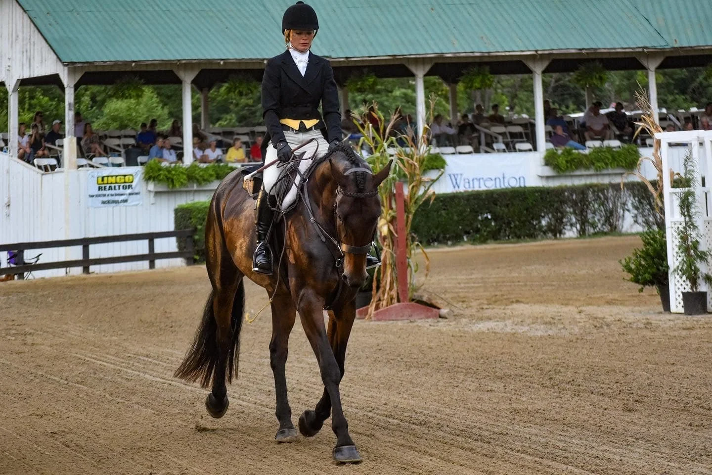 Mia show trot 2.jpeg