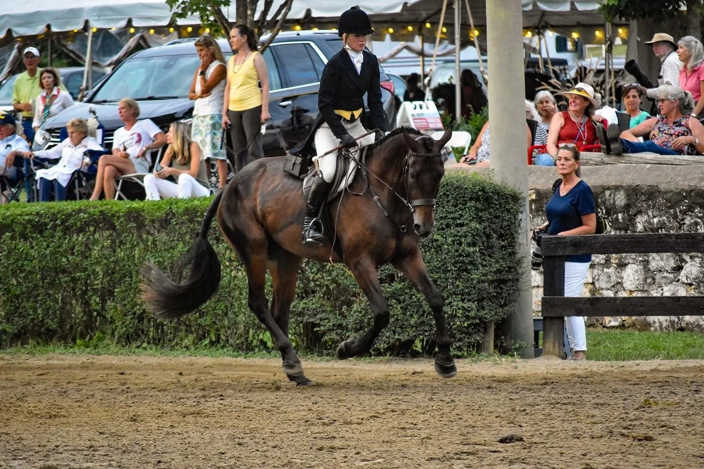 Mia show canter 1.jpeg