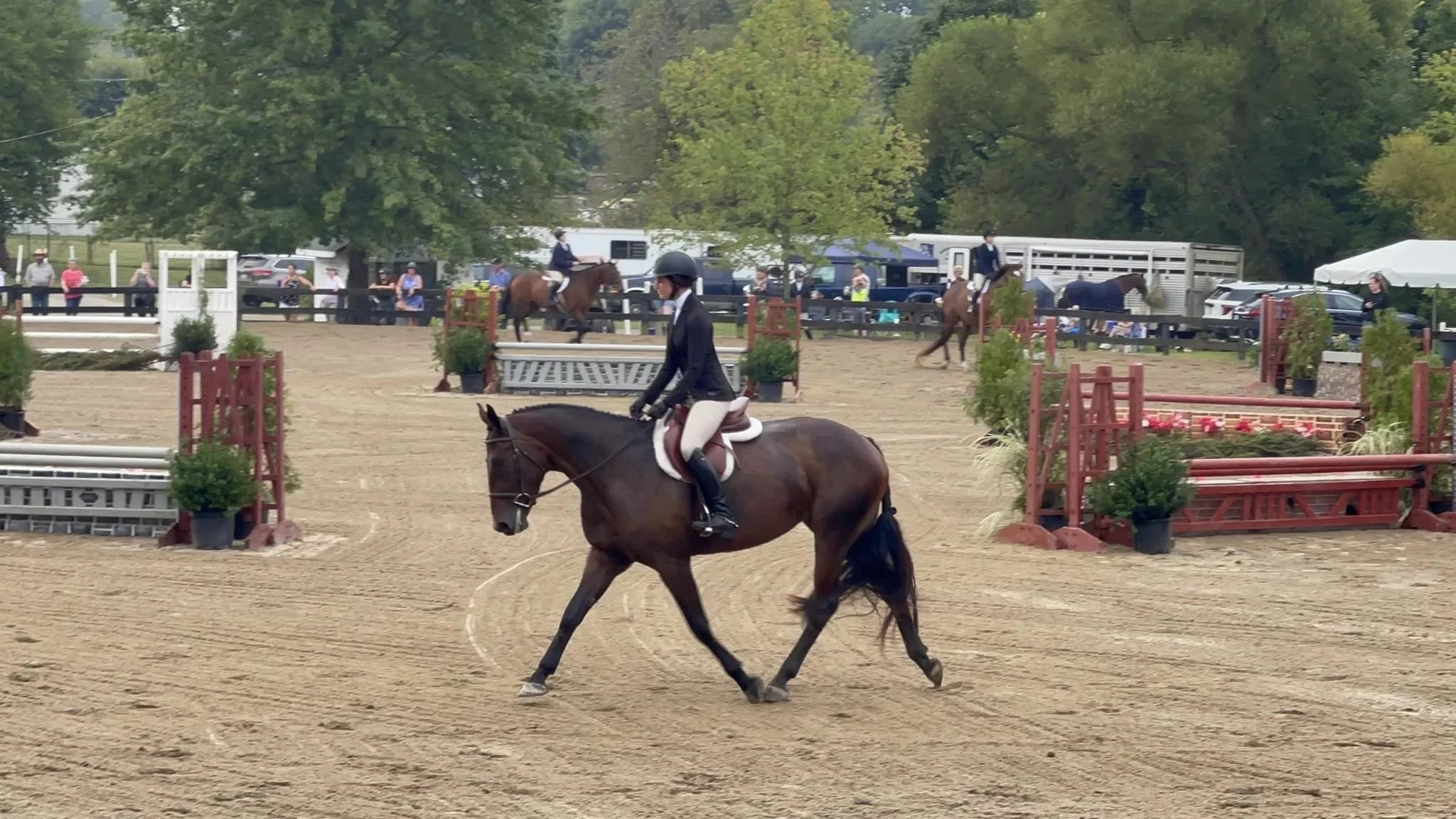 Mia show trot 3.jpeg