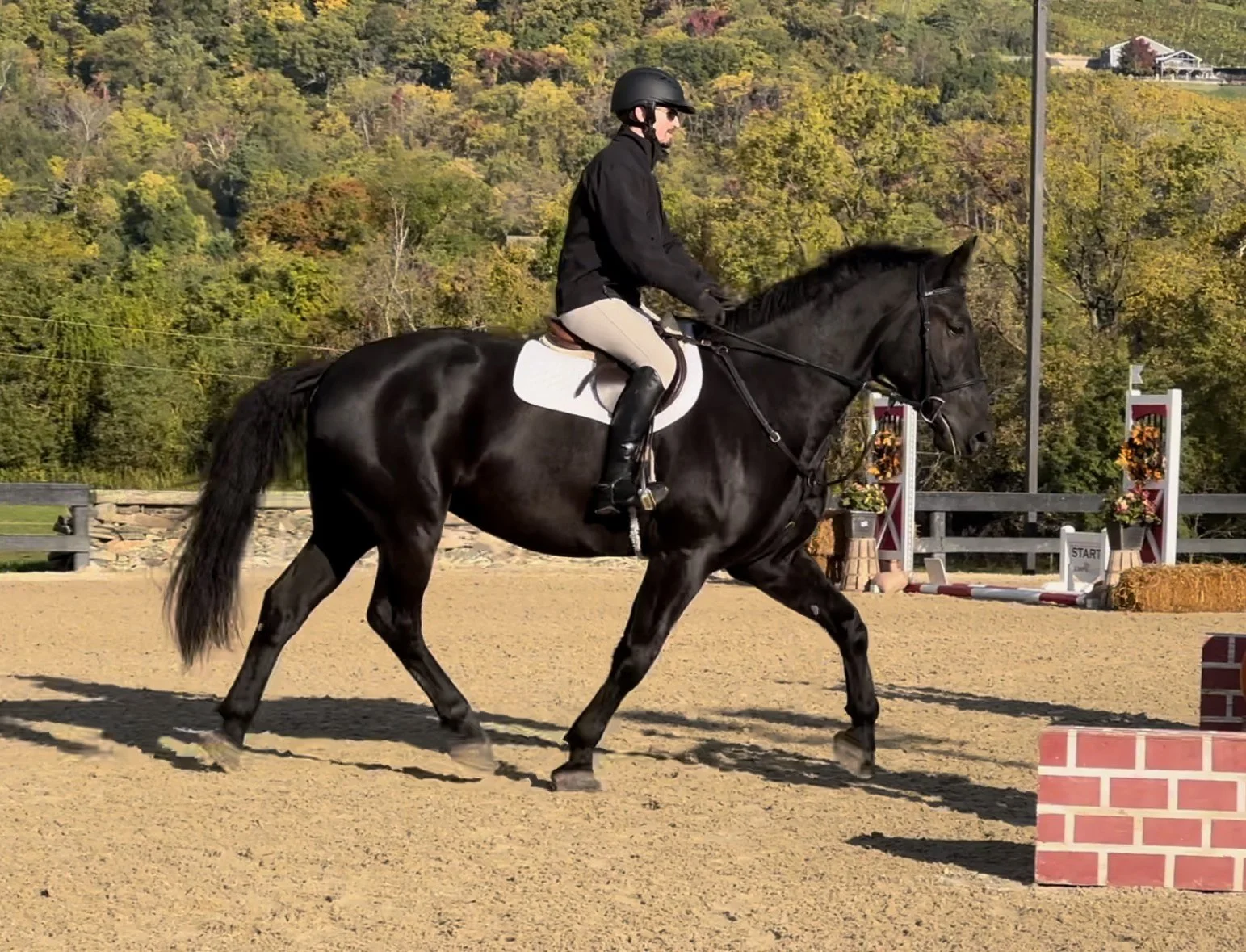 Atlas RGFJS trot 1.jpg