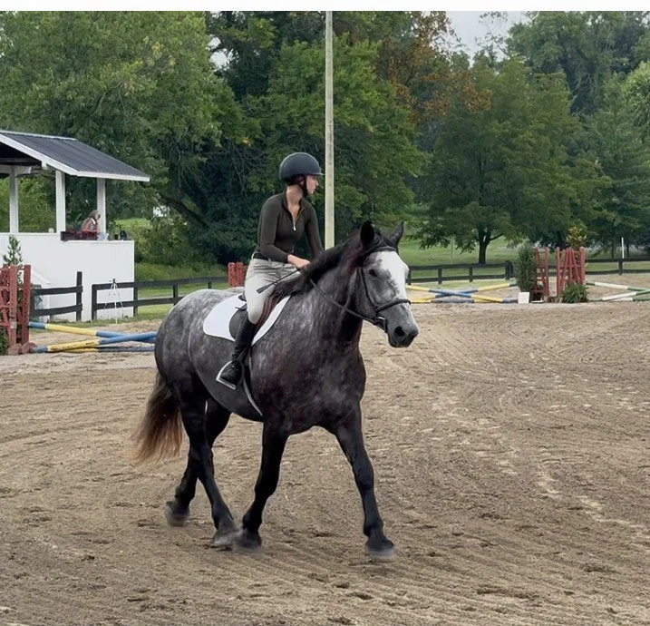 Magnum TWA trot 1.jpg