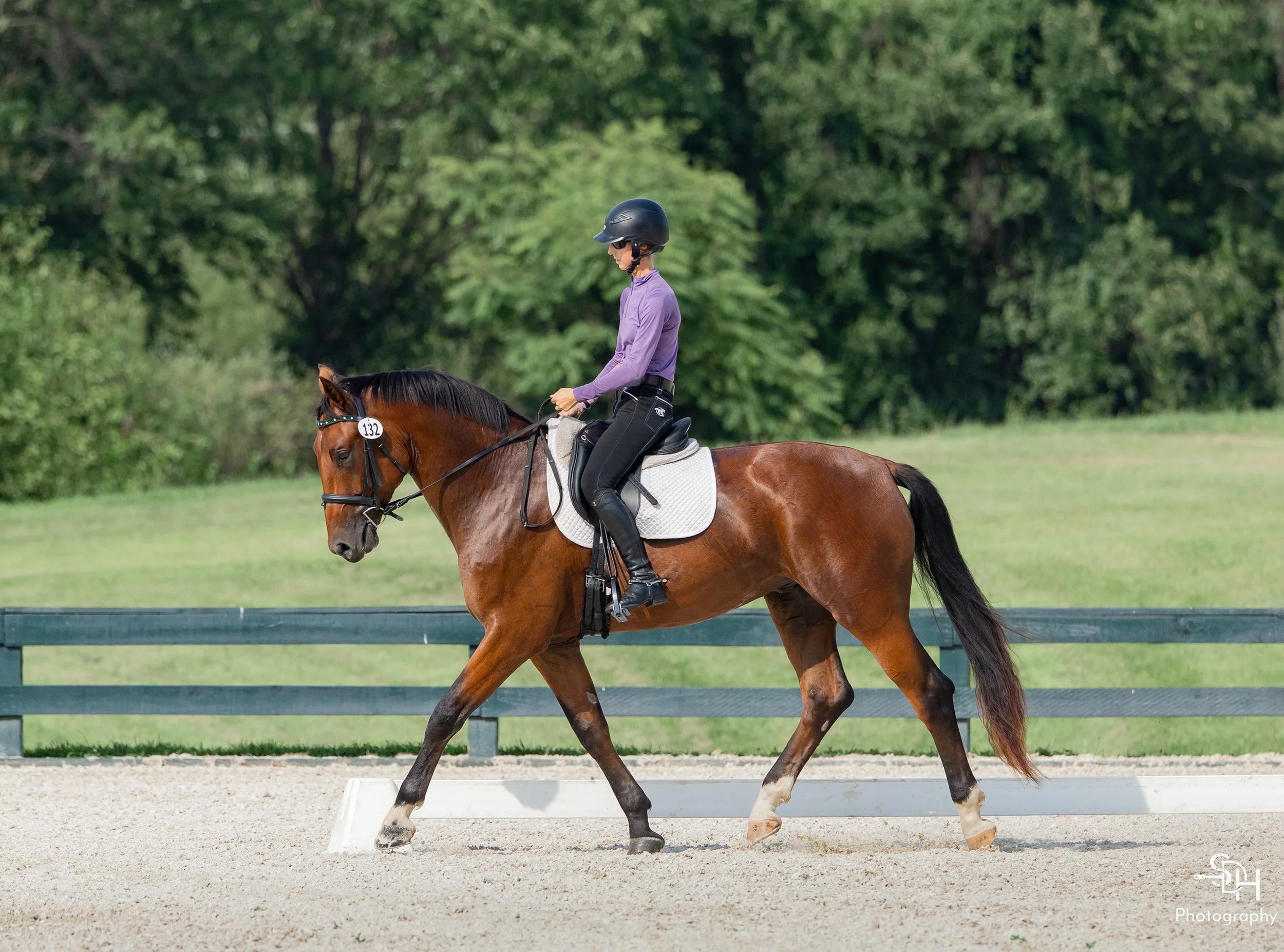 Fame GMDS2 trot 3 med.jpg