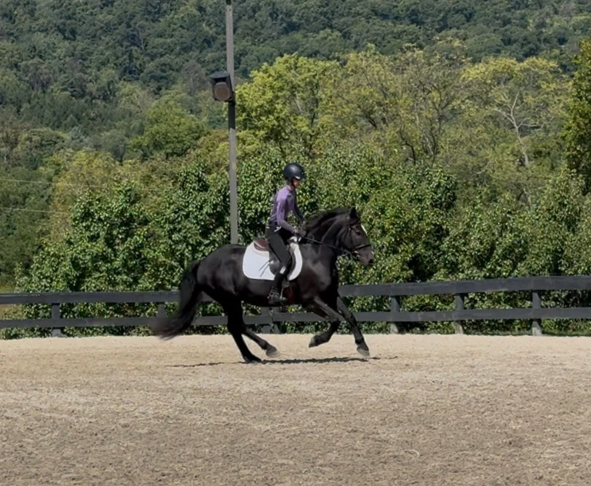 Ruca RGST canter 1.jpg