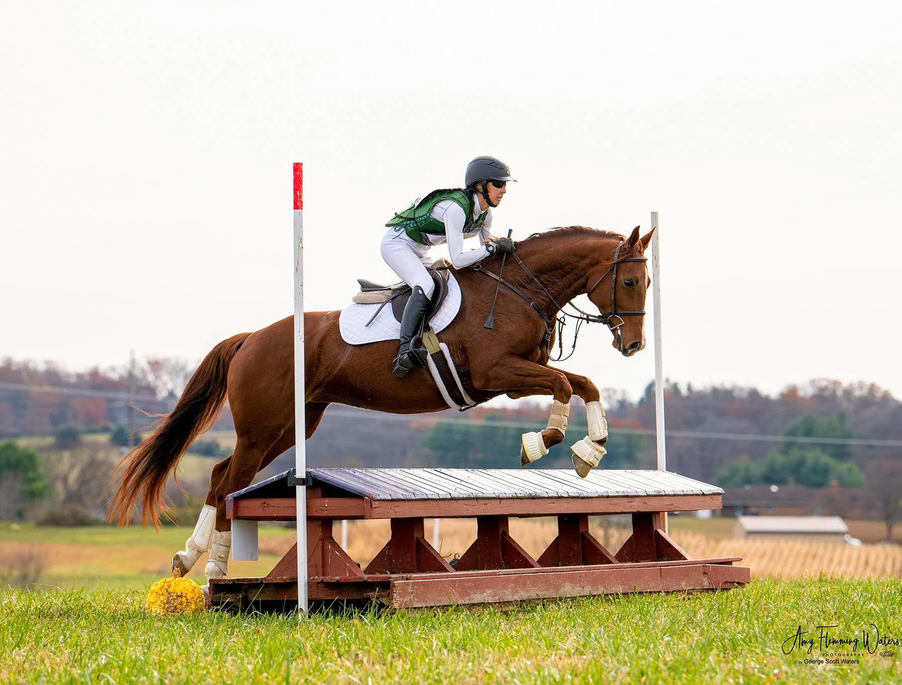 Cadenza FMFHT prof xc jump 1.jpg