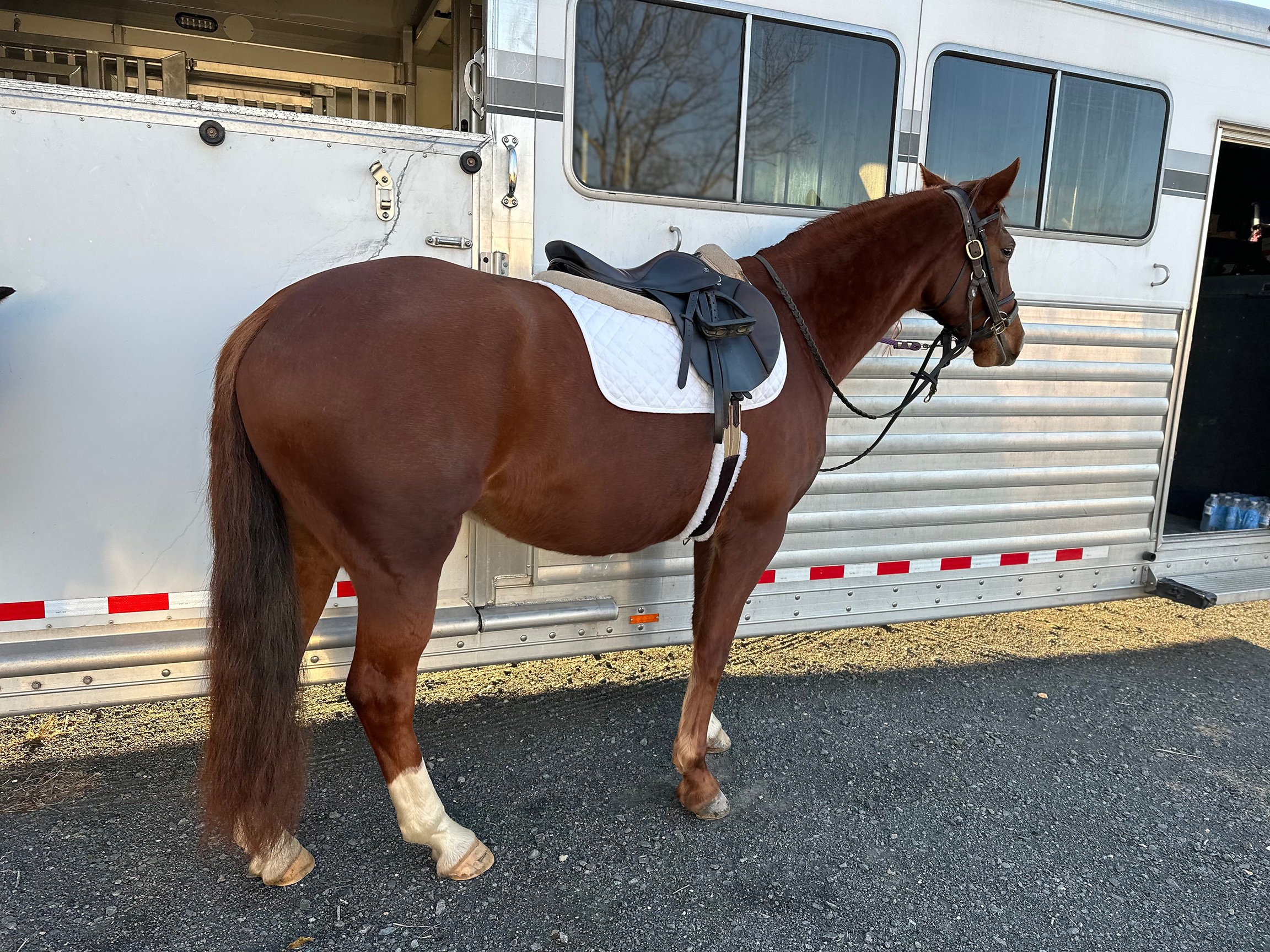 Cadenza MPJS trailer tie 1.jpg