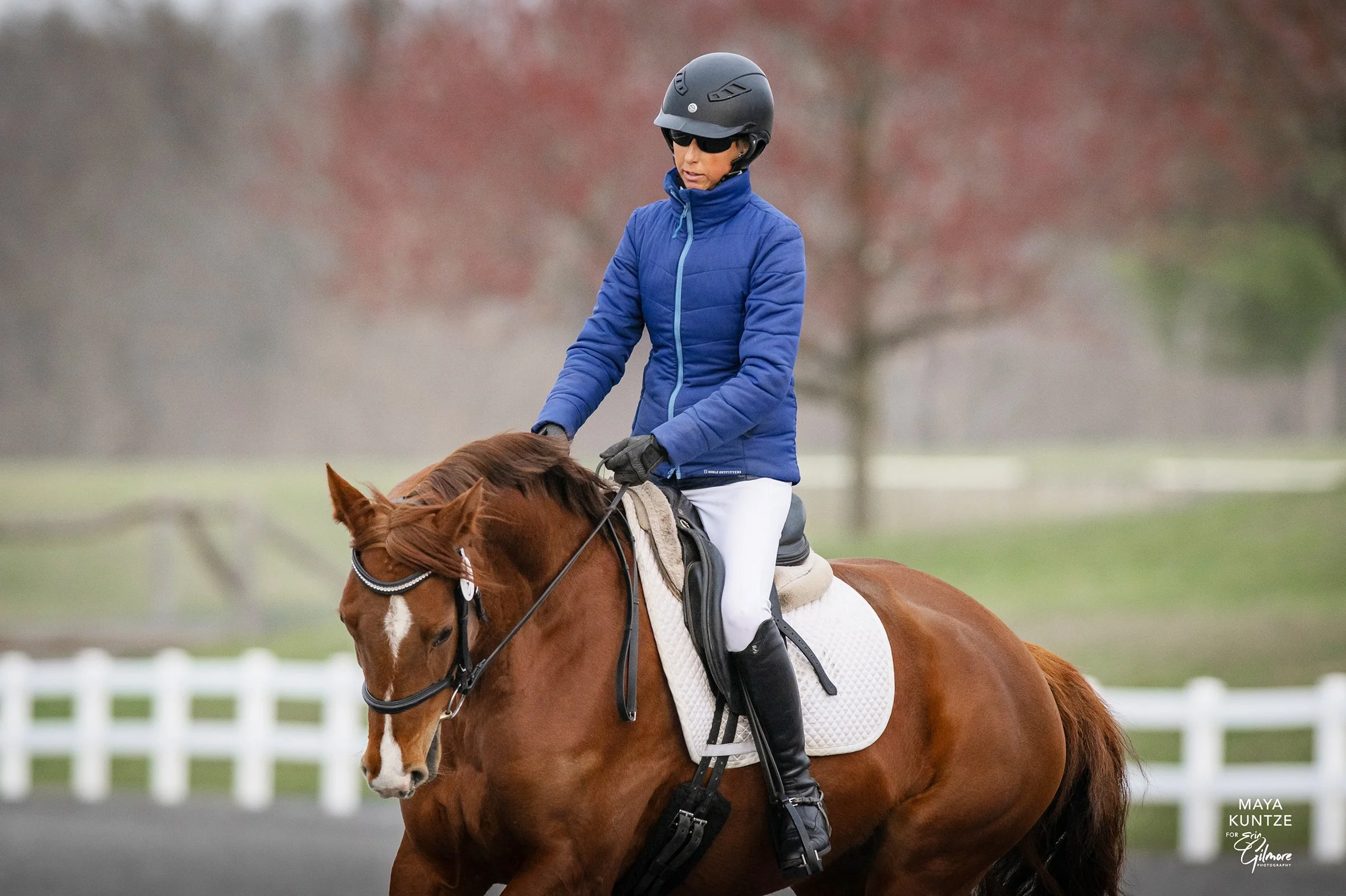 Cadenza MDST-T prof canter 1 med.jpg