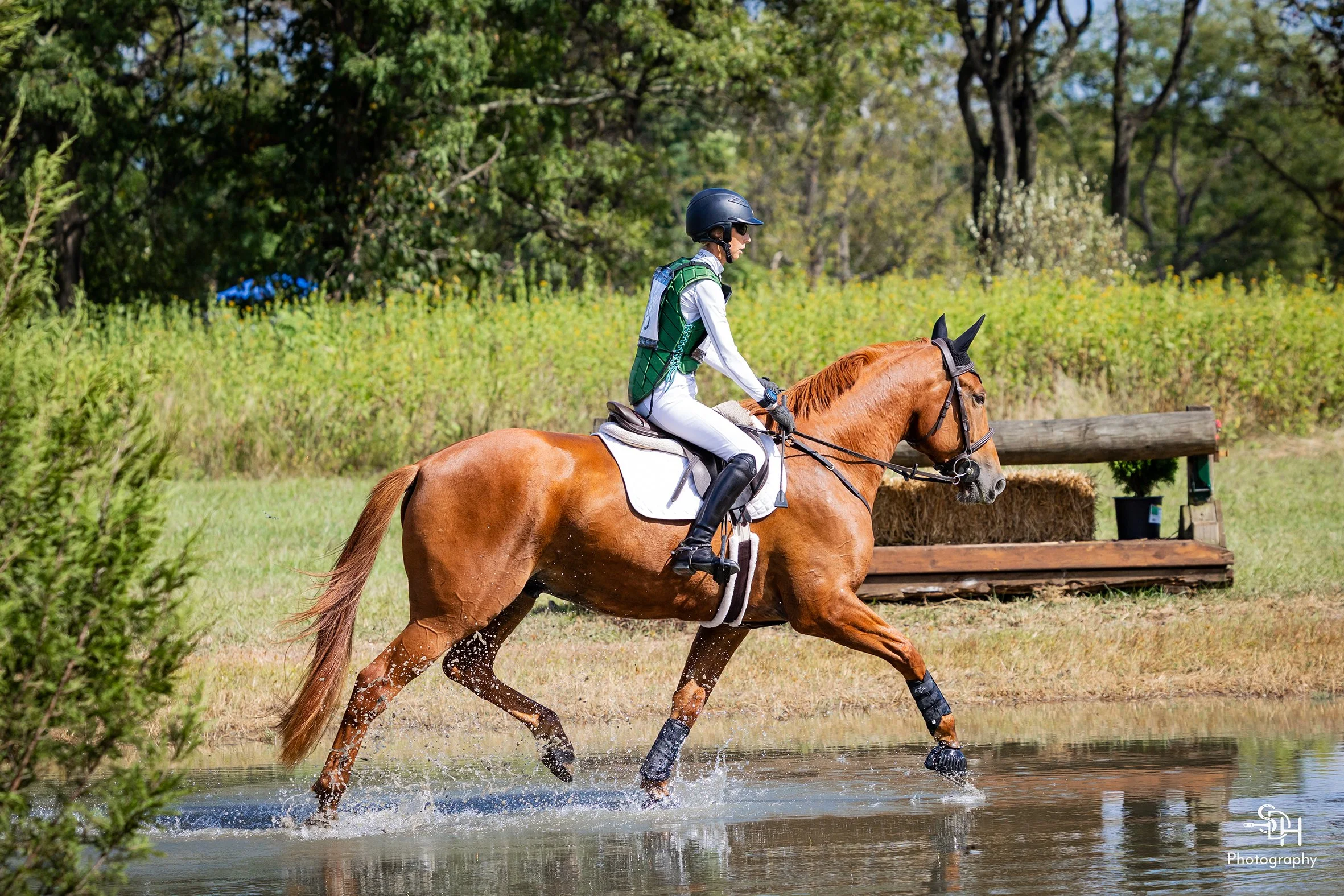 Titanium CDCTA prof water 1 med.jpg