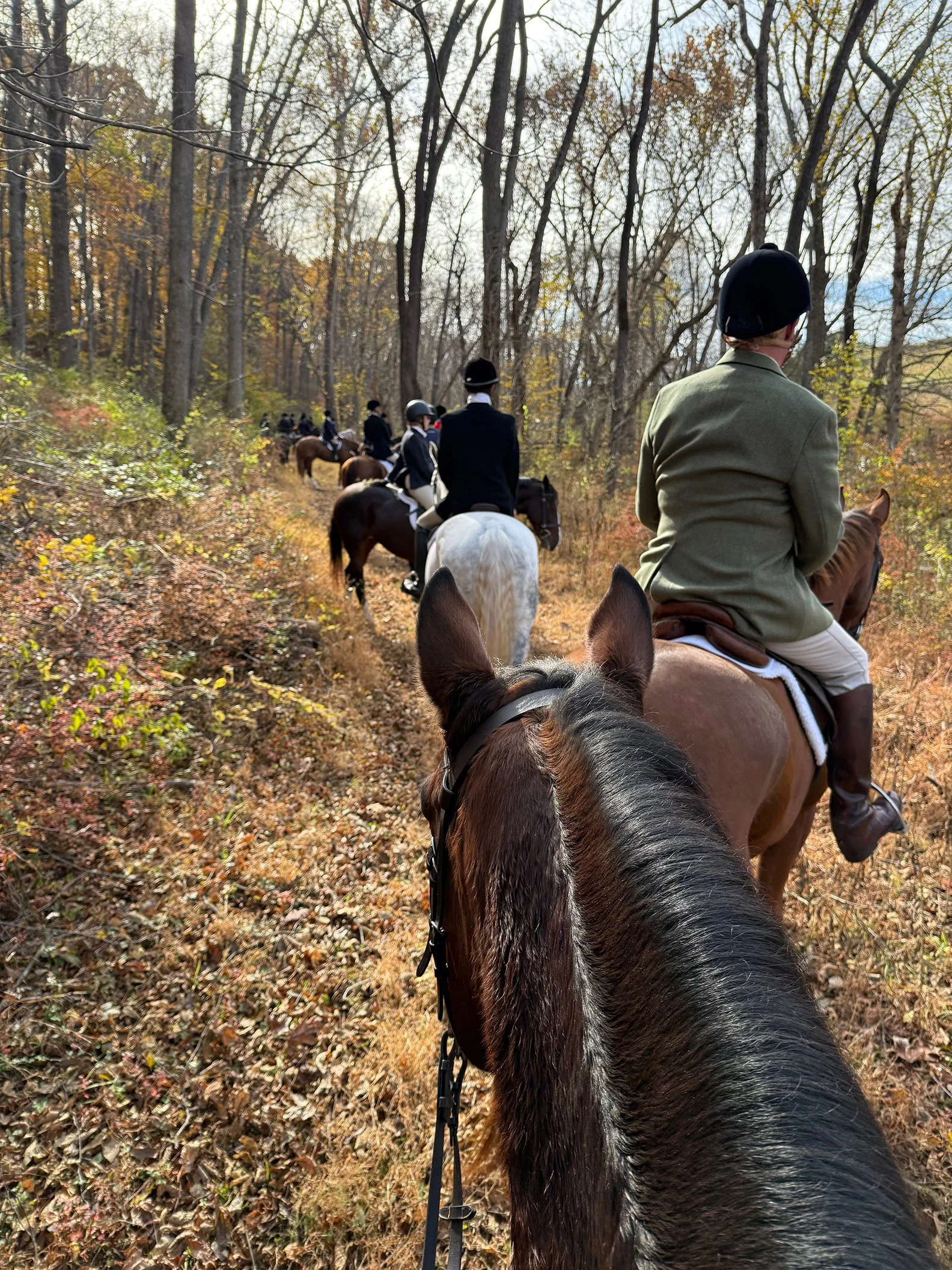 Nesta head hunt 2.jpg