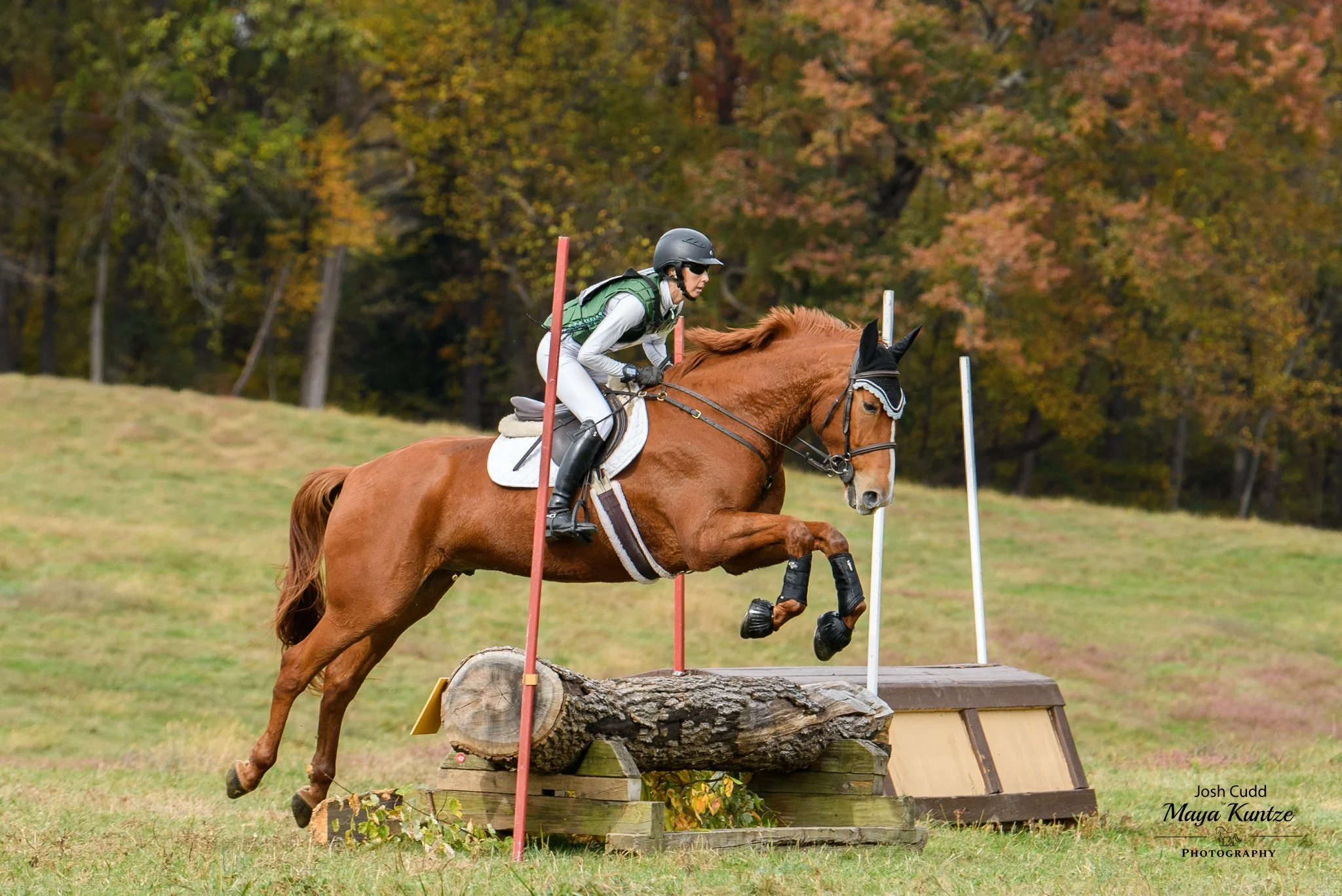 Titanium WDHT prof xc jump 1.jpg