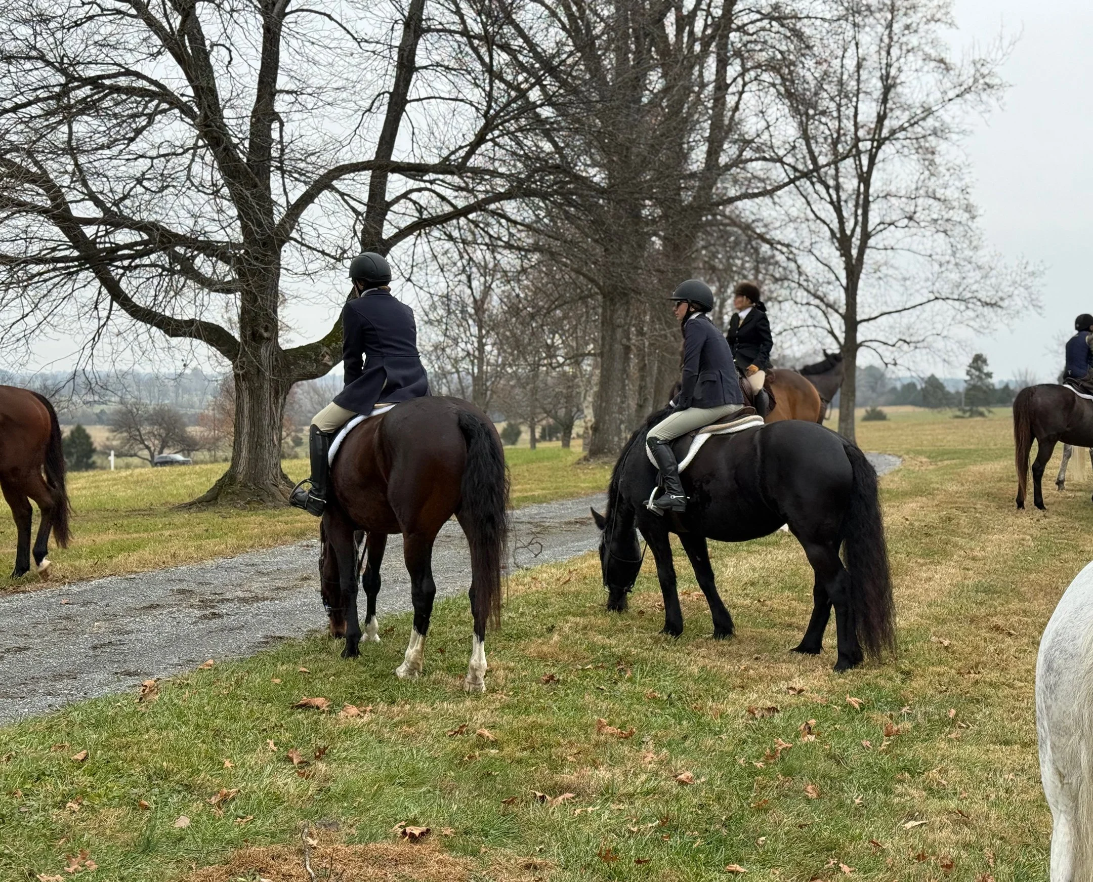 Ruca hunt 11-25-1.jpg