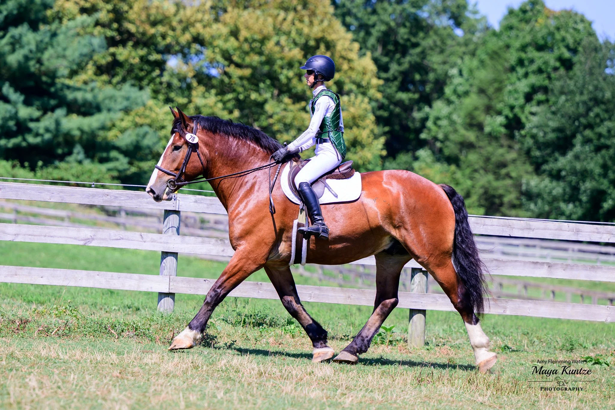 Mungo WDST prof xc trot 1.jpg