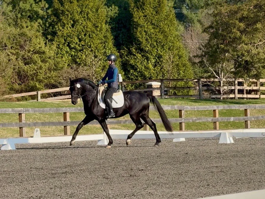 Benevolent TPDS trot 5G.jpg